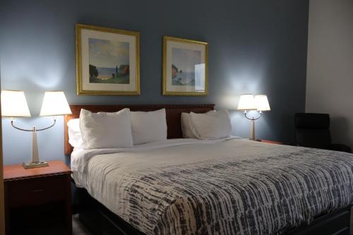 a bedroom with a large bed with two lamps at Baymont on the lake by Wyndham Hot Springs in Hot Springs