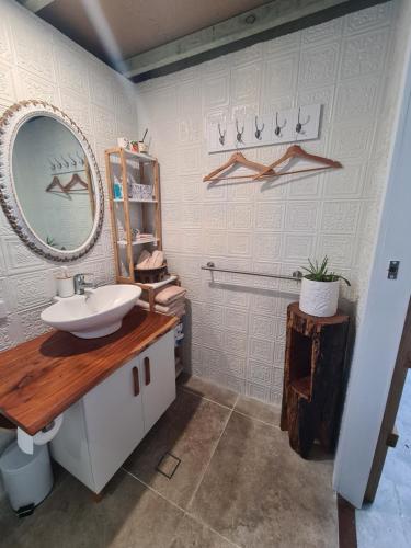 ein Badezimmer mit Waschbecken und Spiegel an der Wand in der Unterkunft Backyard Nook in South West Rocks
