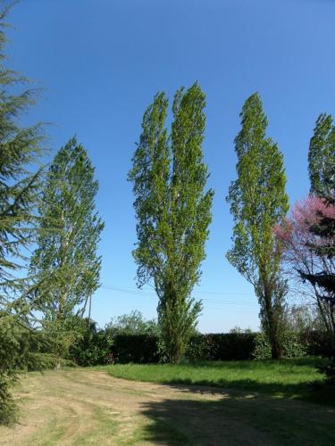 La Roseraie – Photos 4