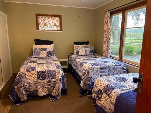 a bedroom with two beds and a window at Sanctuary Cottage in Karapiro