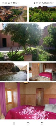 a collage of pictures of a bedroom with a tree at Kasbah des roses in Aït Saïd