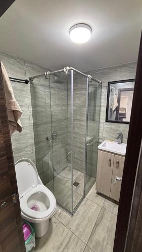 a bathroom with a shower and a toilet and a sink at Cabaña Turistica Tunwacogua in Nobsa