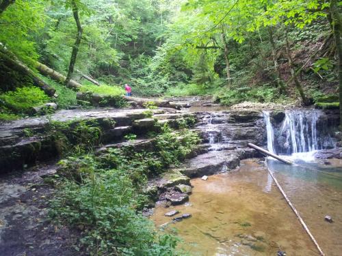 a person standing in front of a waterfall at Pension Ochsen, Gästezimmer in Unadingen in Löffingen