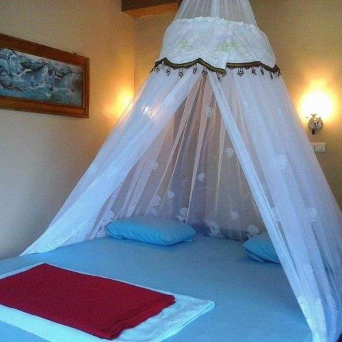 a bed with a canopy in a bedroom at Monkey Business Tours & Accommodation in Bukit Lawang