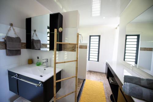 a bathroom with a sink and a shelf at ARIIMOE Hava'e in Teahupoo