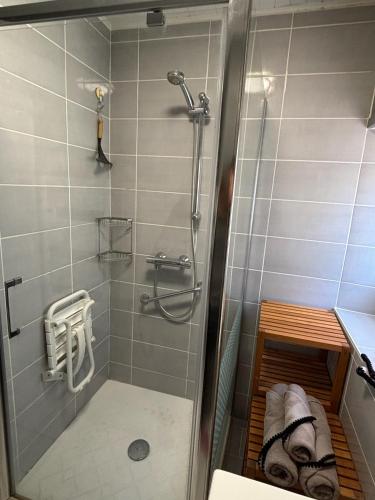 a bathroom with a shower with avisor at Gîte NAO in Serves-sur-Rhône