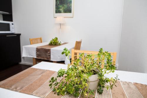 a dining room table with a potted plant on it at Hotel Expo Stockholm in Stockholm