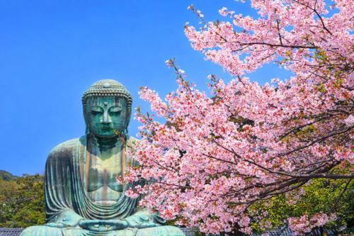 a statue in front of a tree with pink flowers at Reserved for 10 people 1 minute walk to the beach 6 minutes to Hase Station 12 minutes to the Great Buddha 最大10名様 徒歩で海1分 ｺﾝﾋﾞﾆ30秒 長谷駅6分 極楽寺駅6分 大仏12分 貸切一軒家96ｍ2 閑静な古民家 星の井庵 in Kamakura