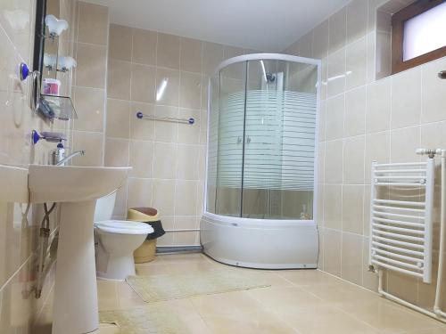 a bathroom with a shower and a toilet and a sink at Casa Munte Busteni in Buşteni
