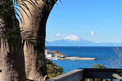 a palm tree and a view of the ocean and a mountain at Monterey House by SANA in Tateyama