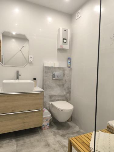 a bathroom with a white toilet and a sink at Kamienna Chata in Urowo