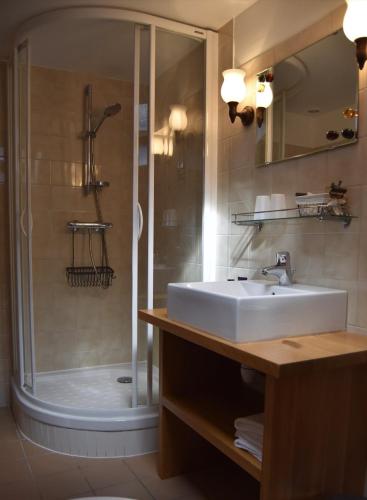 a bathroom with a sink and a shower at Hôtel-Restaurant Au Moulin d'Alexandre in Sainte-Eulalie-dʼOlt