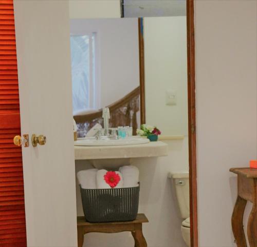 Fotografie z fotogalerie ubytování Hotel El Capitan v destinaci Tulum