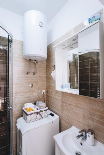 a bathroom with a sink and a mirror at Apartments Borna in Zagreb
