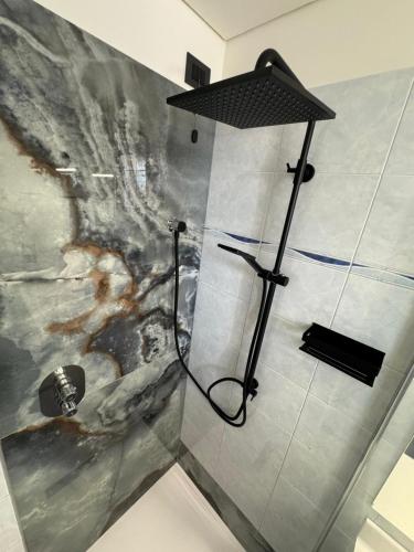 a shower in a bathroom with a painting on the wall at Hotel Baia Flaminia in Pesaro