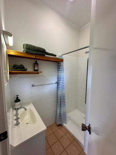 a bathroom with a sink and a shower at Lemon Cottage in Rous Mill