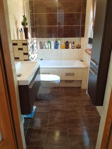 a bathroom with a toilet and a sink at Familienurlaub am See - Haus nr 1 - Rokitki in Rokitki
