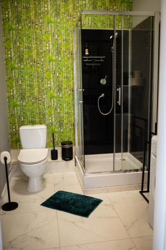 a bathroom with a toilet and a glass shower at Apartament Centrum z tarasem prywatny parking in Płock