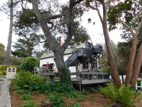 una casa con un árbol delante en Forest Lodge, en Carmel