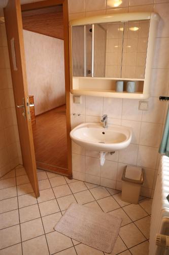 a bathroom with a sink and a cabinet at Erzhof Nassau- Gästezimmer an der Loipe in Bienenmühle