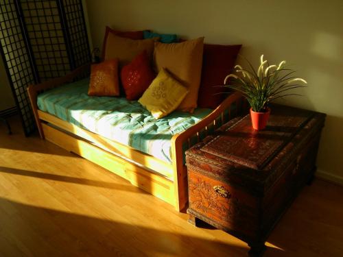 Zen Newton Apartment