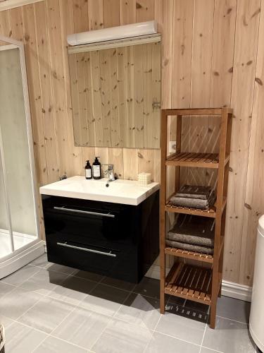 a bathroom with a sink and a mirror at Lastølen Snr6 nr2 in Sykkylven