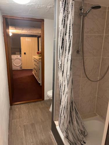a bathroom with a shower and a toilet at The Ardennes Apartment in Houschthauser