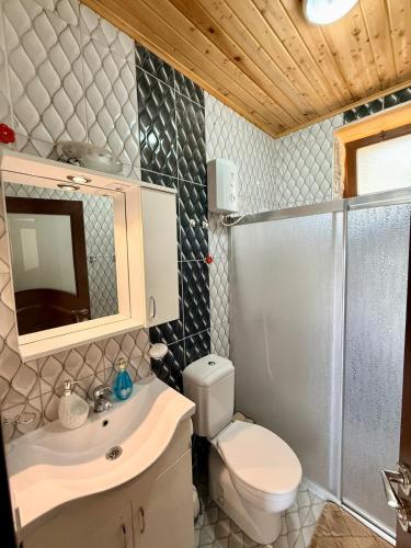 a bathroom with a toilet and a sink and a shower at Olympos Stone House in Kumluca