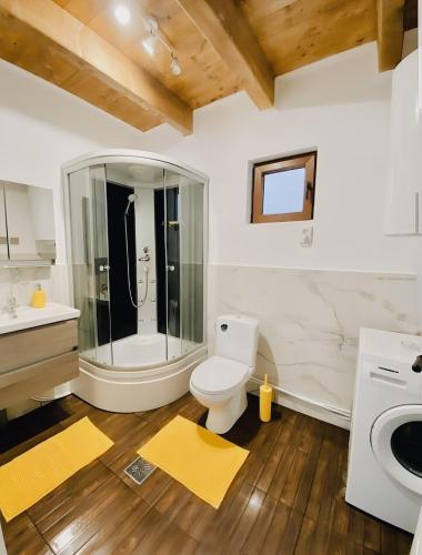 ein Badezimmer mit Dusche, Toilette und Waschbecken in der Unterkunft Cabana Backyard in Plopi