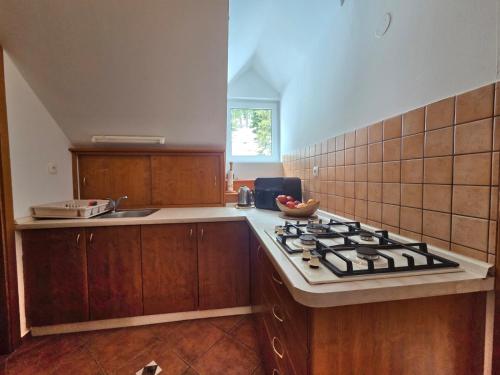 a kitchen with a stove and a counter top at Apartma Brin Rogla in Zreče