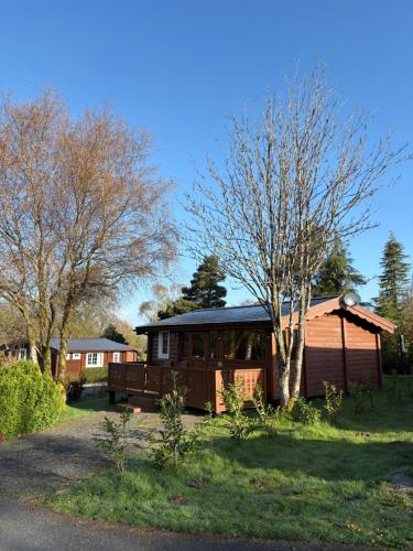 a cabin in a yard with trees in the background at Fernleys Place in Trawsfynydd