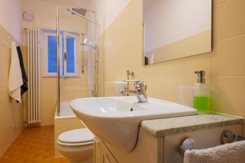 a bathroom with a sink and a toilet and a mirror at Al Pianaccio by Lago Reisen in Trarego Viggiona