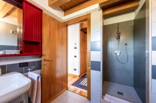 a bathroom with a shower and a sink at B&B Il Pettirosso in Negrar