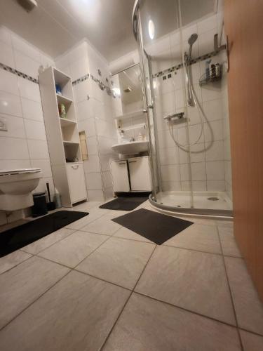 a bathroom with a shower and a sink at White Sand Haven Guest House in Ebhausen