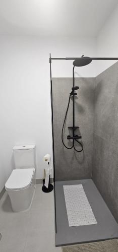 a bathroom with a toilet and a glass shower stall at Apartamento San Simón in Redondela