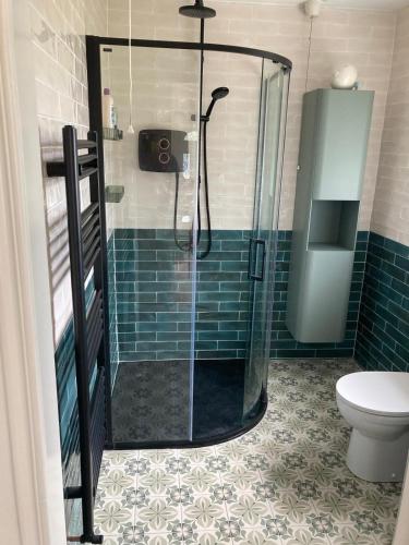 a bathroom with a glass shower with a toilet at The Cottage in Ramelton