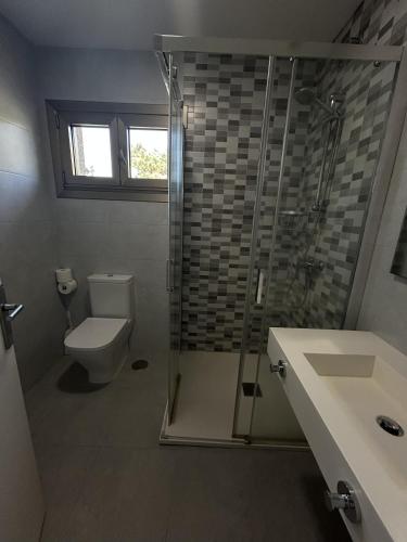 a bathroom with a shower and a toilet and a sink at Habitaciones A Postiña in Areas