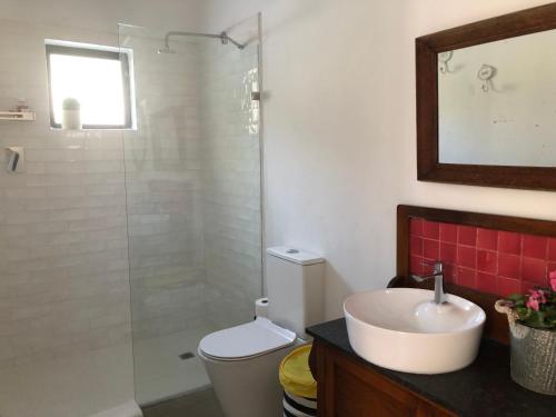 a bathroom with a toilet and a sink and a shower at Acacia Home in Graaff-Reinet