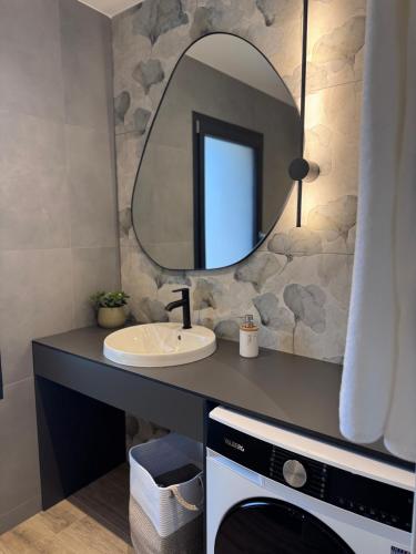 a bathroom with a sink and a mirror at Gîtes les rives de Saône in Saint-Didier-sur-Chalaronne