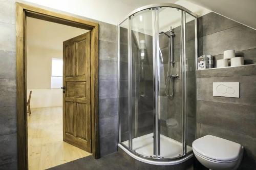a bathroom with a shower stall and a toilet at Ubytování V Klenbách in Třeboň