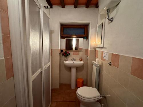 a small bathroom with a toilet and a sink at Podere di Mero Casolare in Buti