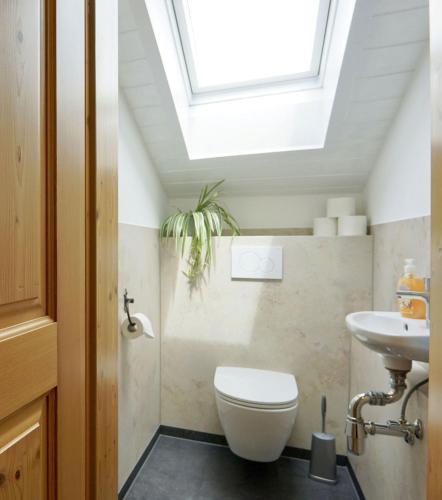 a bathroom with a white toilet and a skylight at Stöcklhof in Siegsdorf