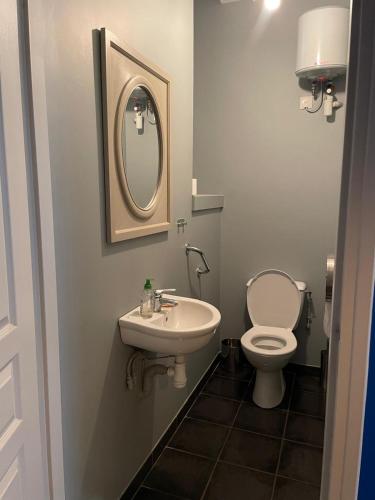 a bathroom with a toilet and a sink and a mirror at Le Bon Appart in Angoulême