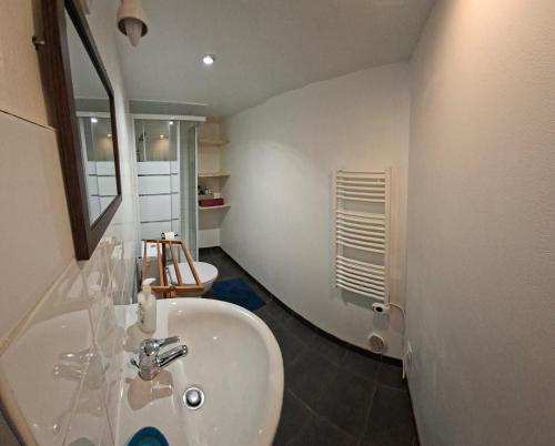 a bathroom with a sink and a mirror at Studio privé à la campagne in Guillerval