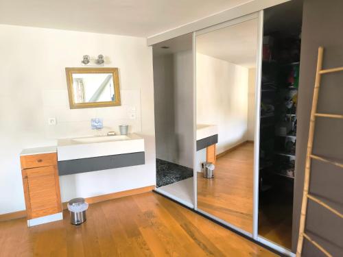 a bathroom with a sink and a mirror at Le spacieux - centre ville in Gap