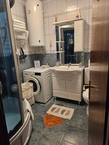 a bathroom with a sink and a washing machine at Apartman CaCO3 - Potpuno opremljen stan u blizini Plitvičkih jezera in Korenica
