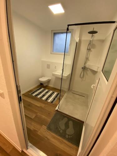 a bathroom with a glass shower and a toilet at Avella House in Mühlheim