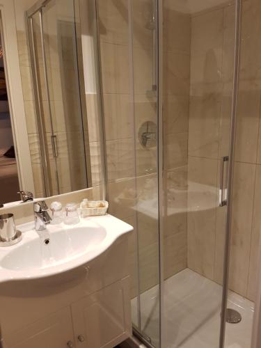a bathroom with a sink and a shower at Residenza Vatican Suite in Rome