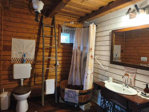 a bathroom with a shower and a toilet and a sink at Fecskefészek Vendégház Őriszentpéter in Őriszentpéter