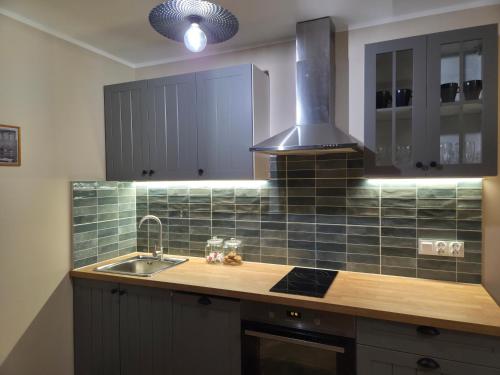 a kitchen with a sink and a stove at Apartament Wiaduktowy in Srebrna Góra